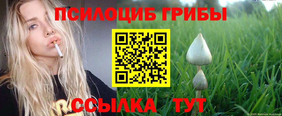 Галлюциногенные грибы прущие грибы Пушкино