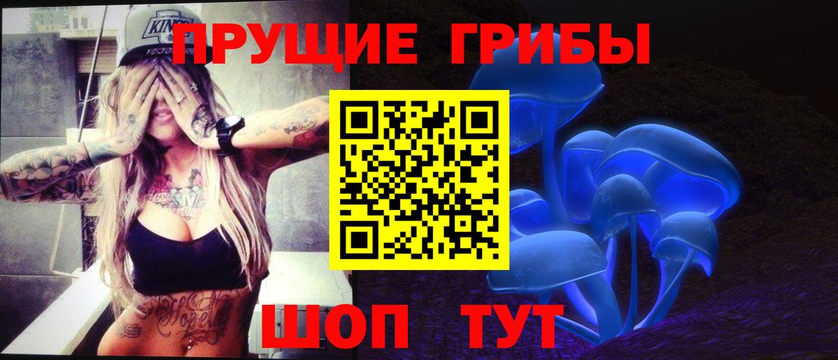 Пушкино  Галлюциногенные грибы Psilocybe  Вход с VPN 